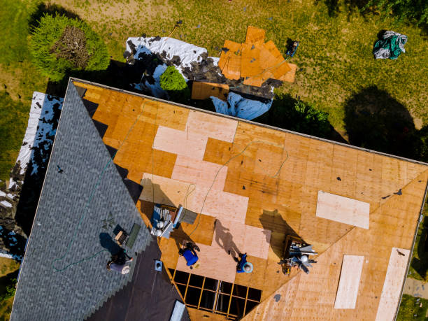 Quick and Trustworthy Emergency Roof Repair Services in Union Park, FL