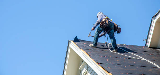 Professional Roofing Contractor in Union Park, FL